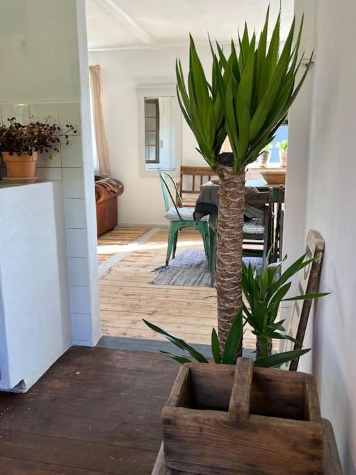 The Old Soap House - Stylish And Close To Beach Vang  Exterior photo